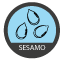 Sesamo
