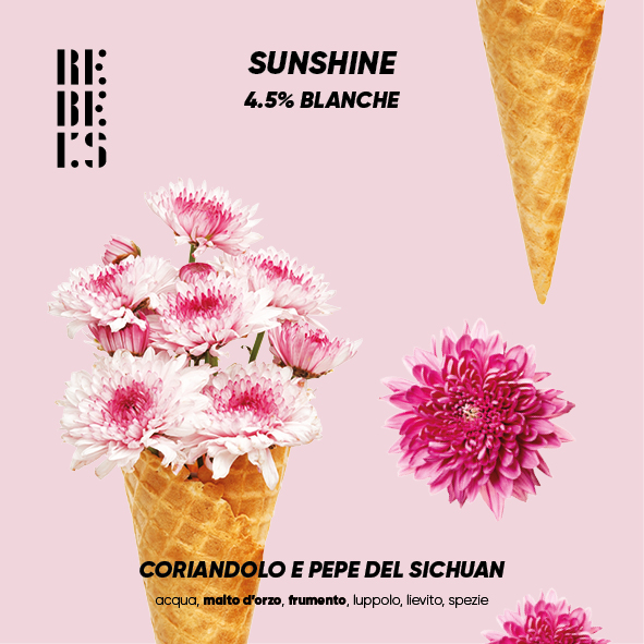 Linea 5 REBEL'S - Sunshine (Blanche al coriandolo e pepe del Sichuan) 4,5%